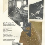 The Brooklyn Rail Fiction Anthology 2
